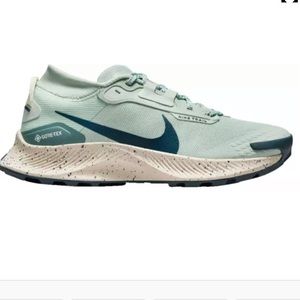 Nike Women's Pegasus Trail 3 GORE-TEX Trail Running